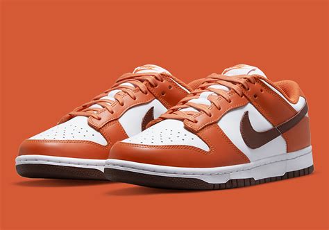 fall nike dunks low